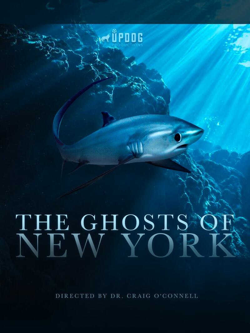 Thirty-two films including Ghosts of New York will screen over three days of the film festival.