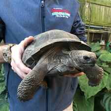 Image provided by the St. Augustine Alligator Farm Facebook page