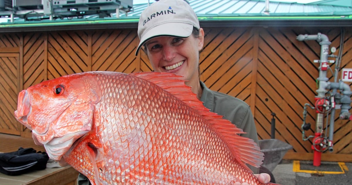Florida, Georgia, South Carolina governors ask that the states handle red snapper limits