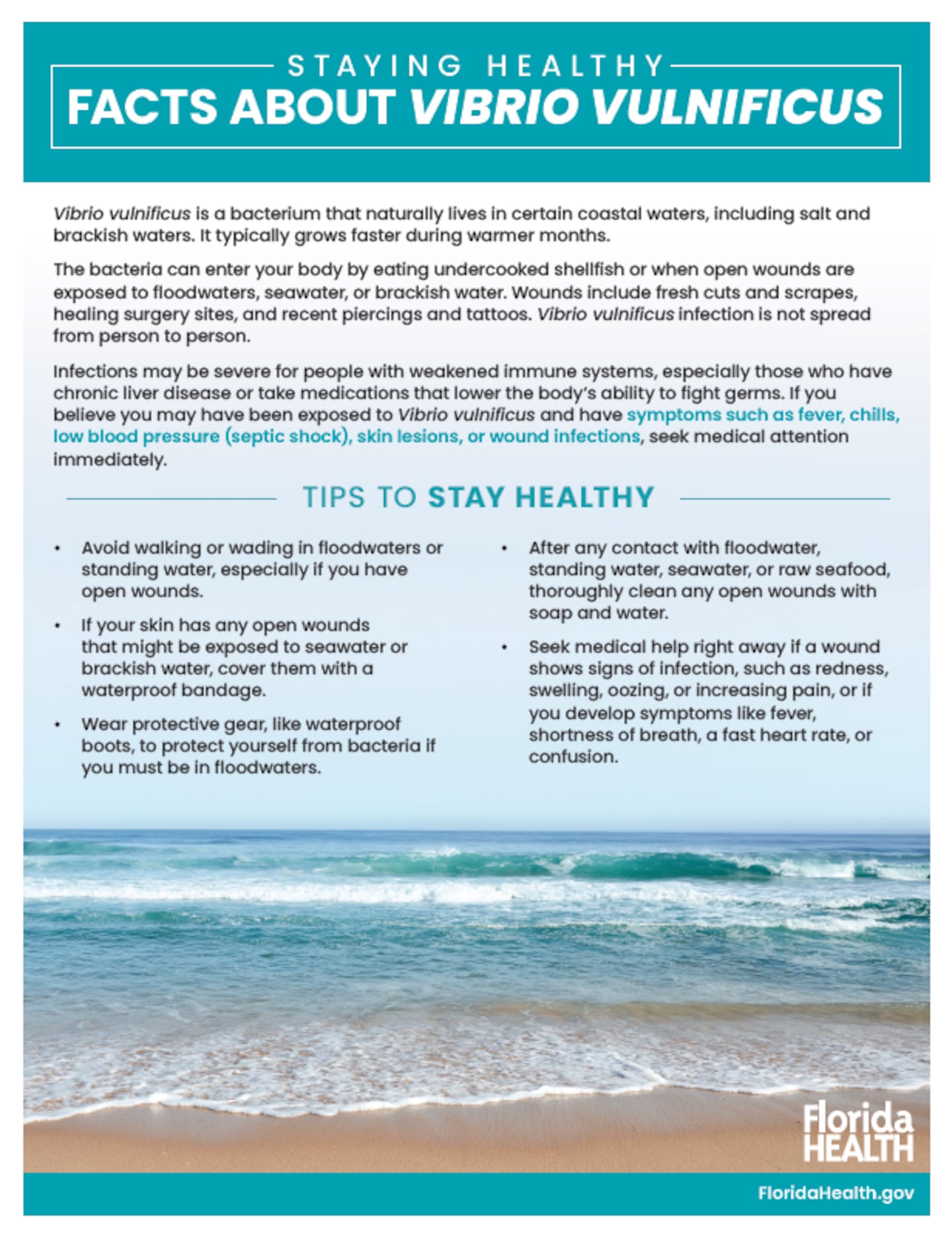 Vibrio vulnificus fact sheet provided by St. Johns County Department of health