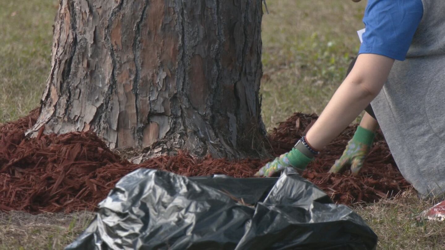 City Year of Jacksonville celebrated MLK Day by beautifying Acres Elementary School.