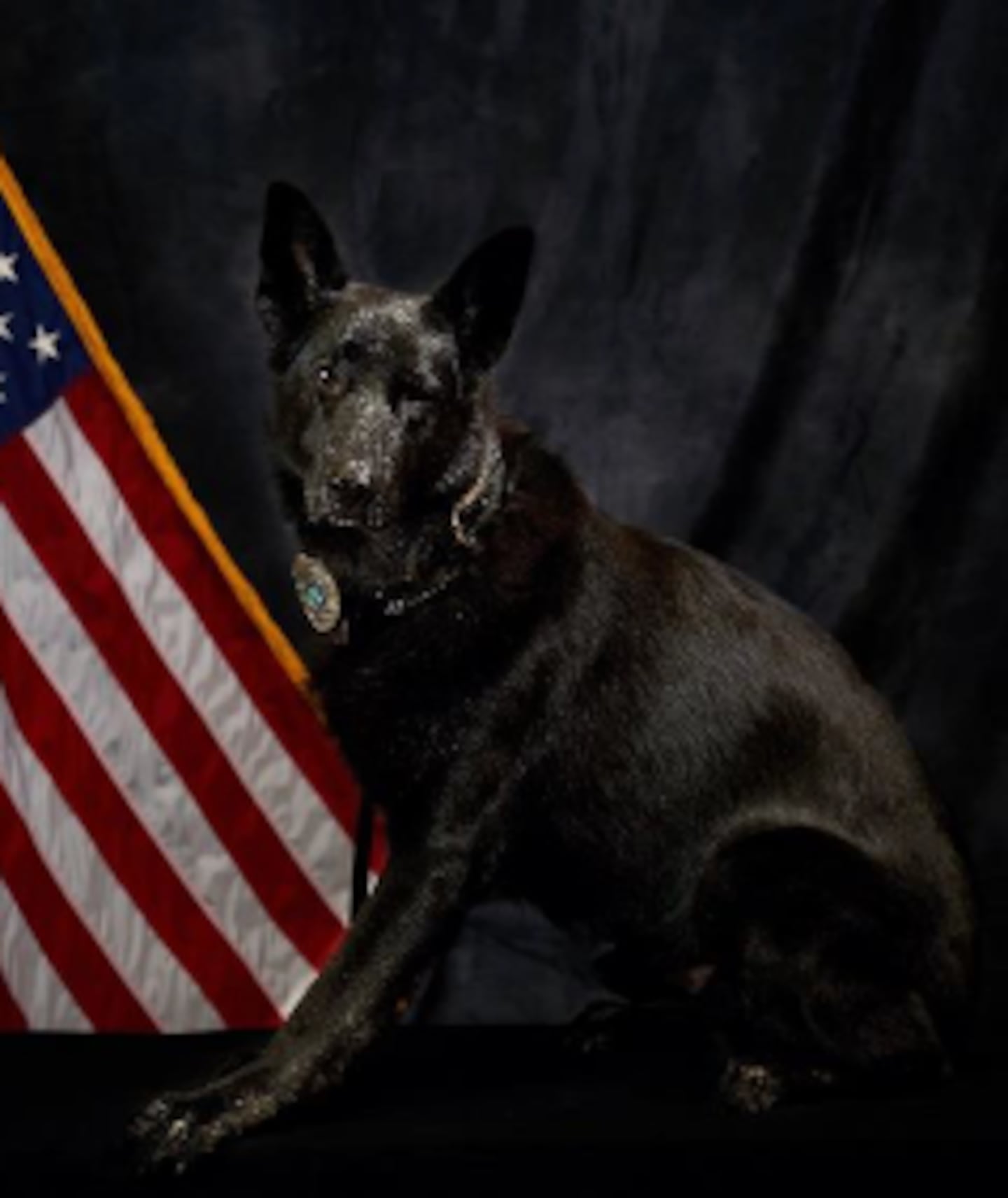 The Lake City Police Department said its mourning the loss of retired K9 Memnoch.