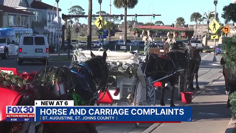 Residents raise concerns over St. Augustine’s horse-drawn carriage rides