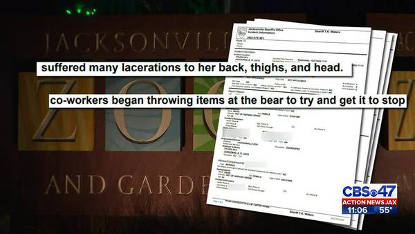 Police release 911 calls from bear attack at Jacksonville Zoo