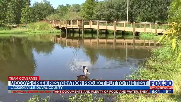 McCoys Creek restoration project put to the test