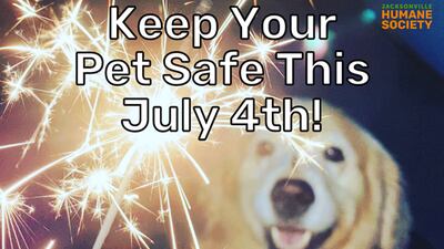 Humane society shares tips on how to keep your fur babies safe and calm this independence Day