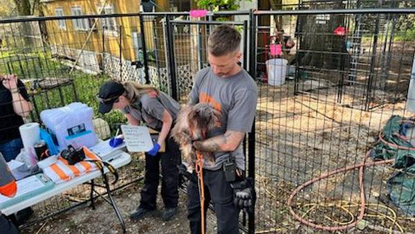 More dogs and puppies rescued, this time from breeding operation in Union County