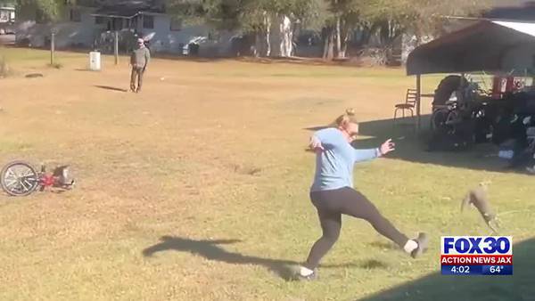 Caught on video: Woman kicks neighbor’s kitten across Southeast Georgia yard