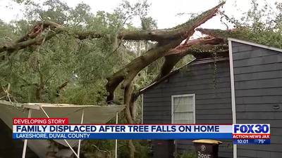 Jacksonville family displaced from home after tree crashes on home during severe storm
