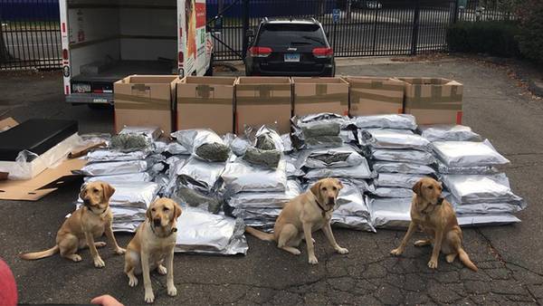 Connecticut State Police find 420 pounds of marijuana during traffic stop