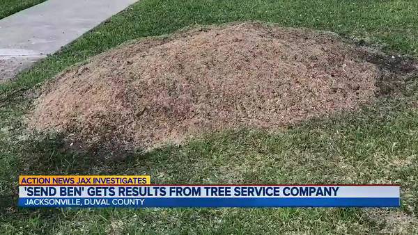‘I’m not ripping people off’ says local tree service accused of leaving a customer stumped