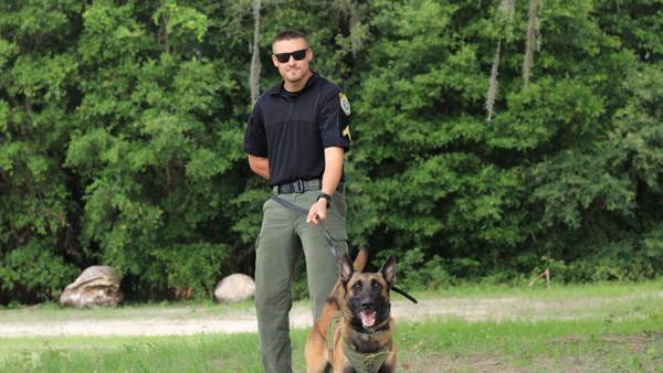 Despite injury, Columbia County K9 and handler take 1st place in weekend event