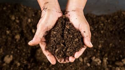 Federal lawmakers digging into soil health practices and the impact on the economy