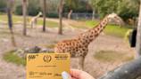 Jacksonville Zoo offering 25% off general admission tickets for AAA card members