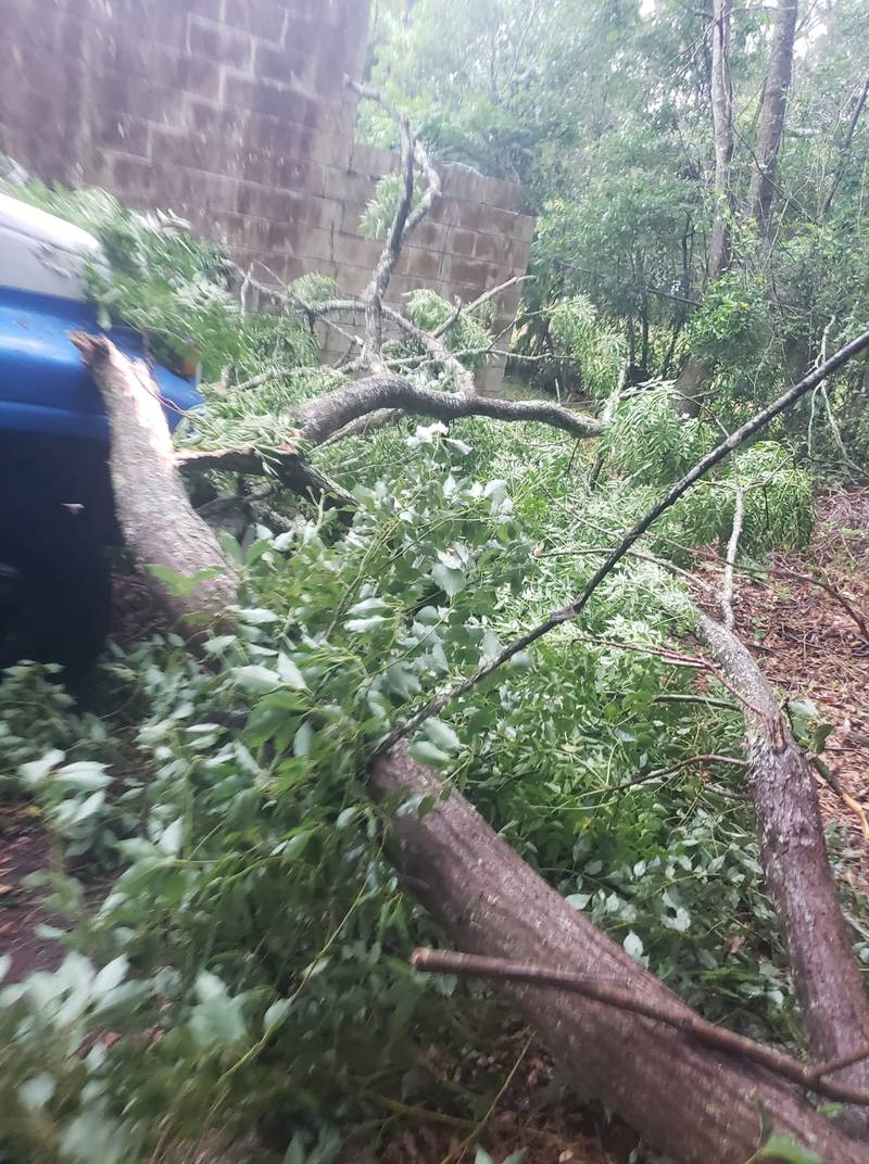 Storm damage in Northeast Florida, Southeast Georgia, 5/10/24