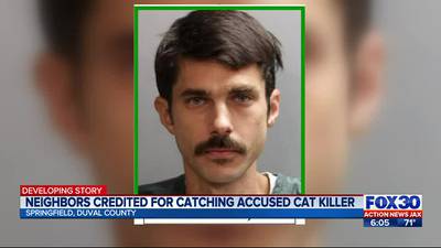 Neighbors credited with helping catch accused cat killer in Springfield