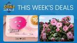 Local Steals & Deals: Skincare to Garden Flair with Ricki Loves Riki and Cottage Farms Direct 