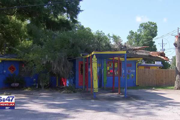 School leaders left scrambling after tree struck by lightning falls through roof of preschool